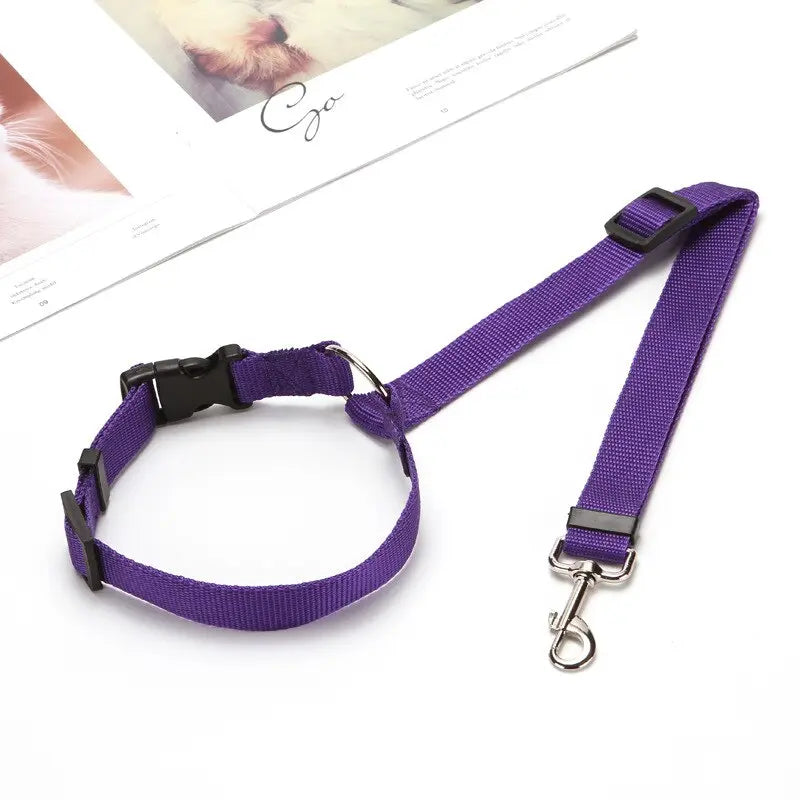Pet Seat Belt Leash WLP Company