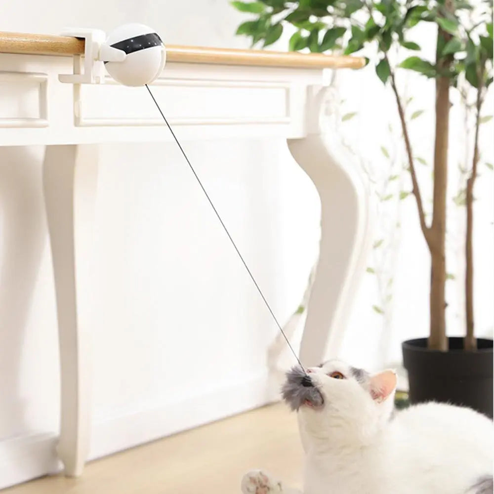 cat teaser toy Electric Teaser Toy WLP Company