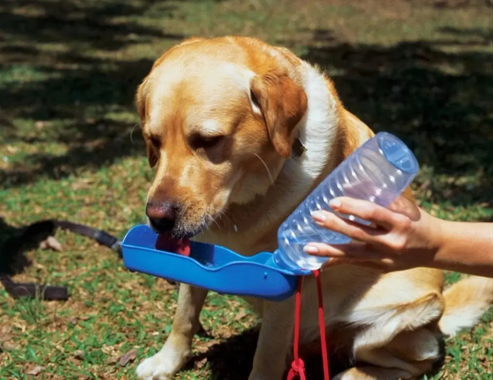 pet travel bottle Travel Feeding Bottle - Portable Hydration Solution WLP Company