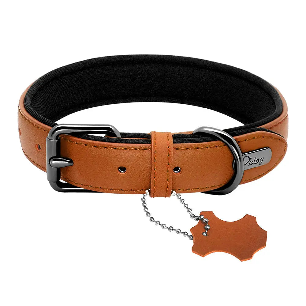 Padded Adjustable Genuine Leather Dog Collar - Superior Comfort & Style WLP Company