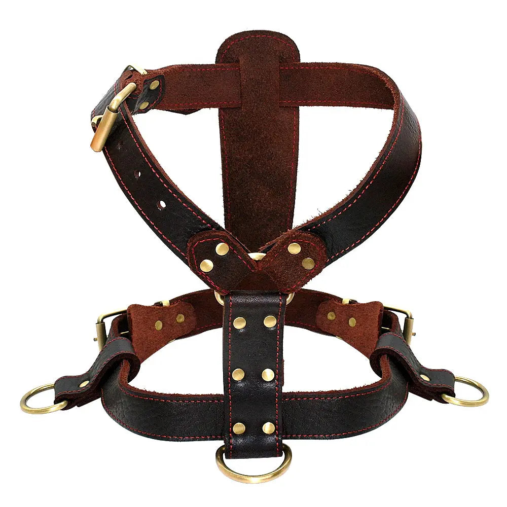 Adjustable Genuine Leather Dog's Harness - Premium Comfort & Durability WLP Company