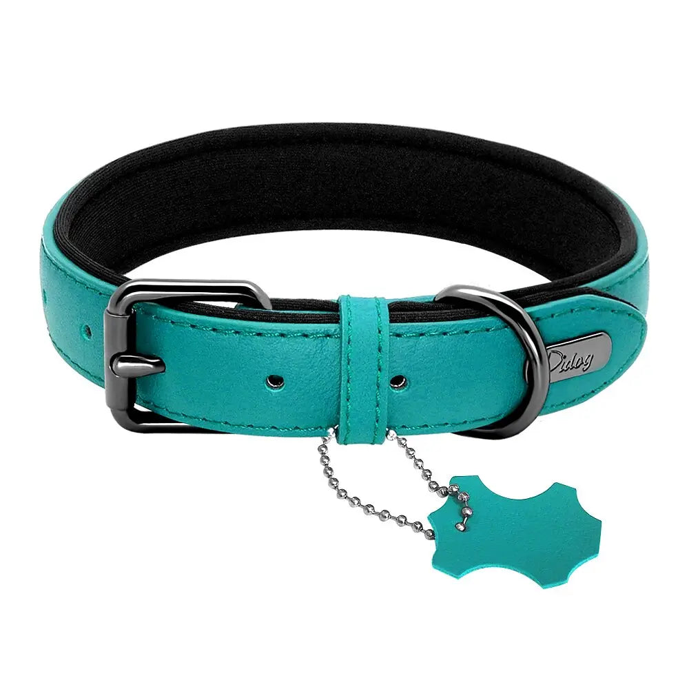 Padded Adjustable Genuine Leather Dog Collar - Superior Comfort & Style WLP Company