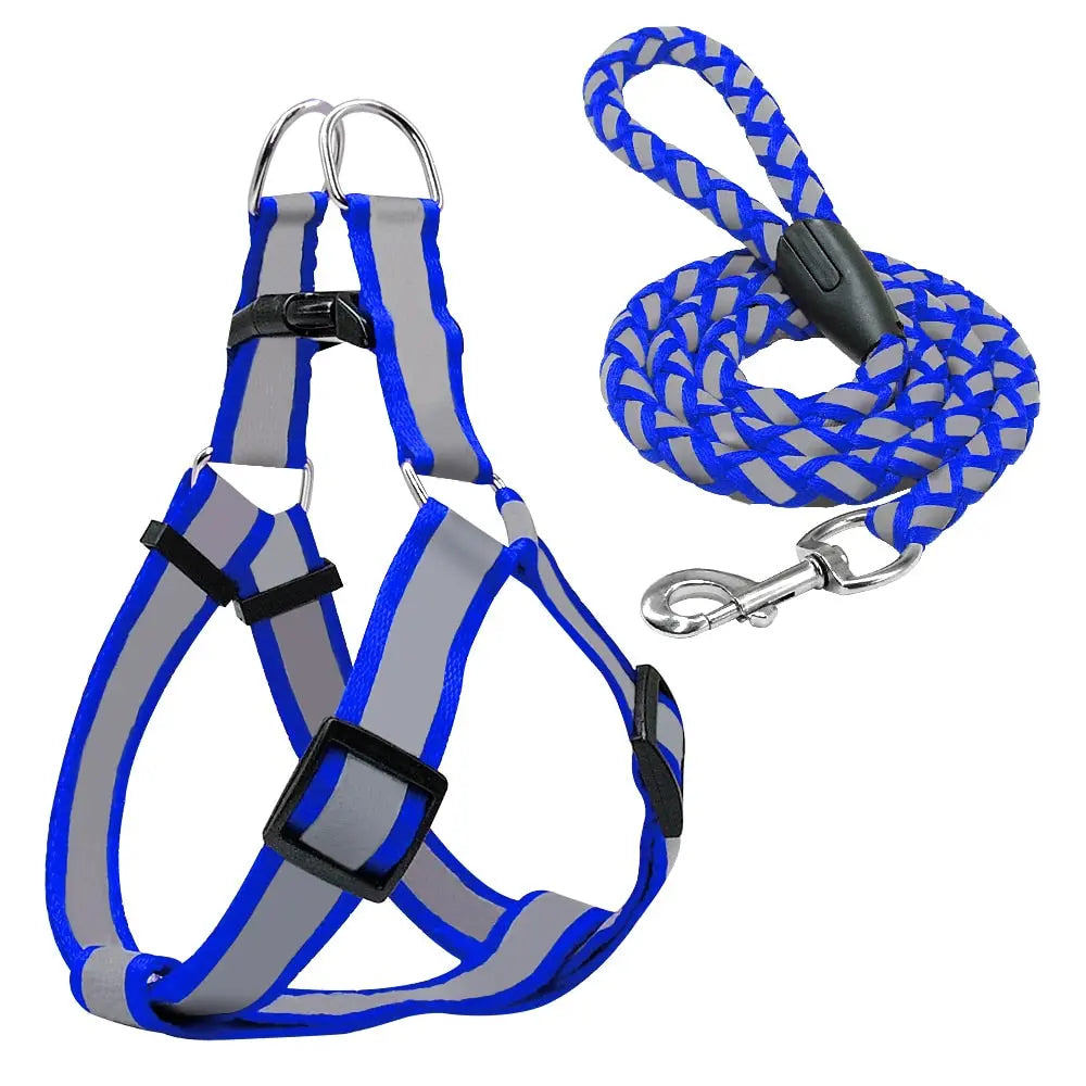 Step-in Reflective Nylon Dog Vest with Leash Set - Enhanced Safety & Visibility WLP Company