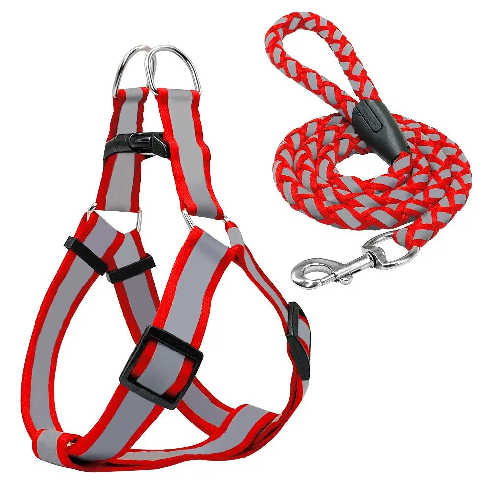 Step-in Reflective Nylon Dog Vest with Leash Set - Enhanced Safety & Visibility WLP Company