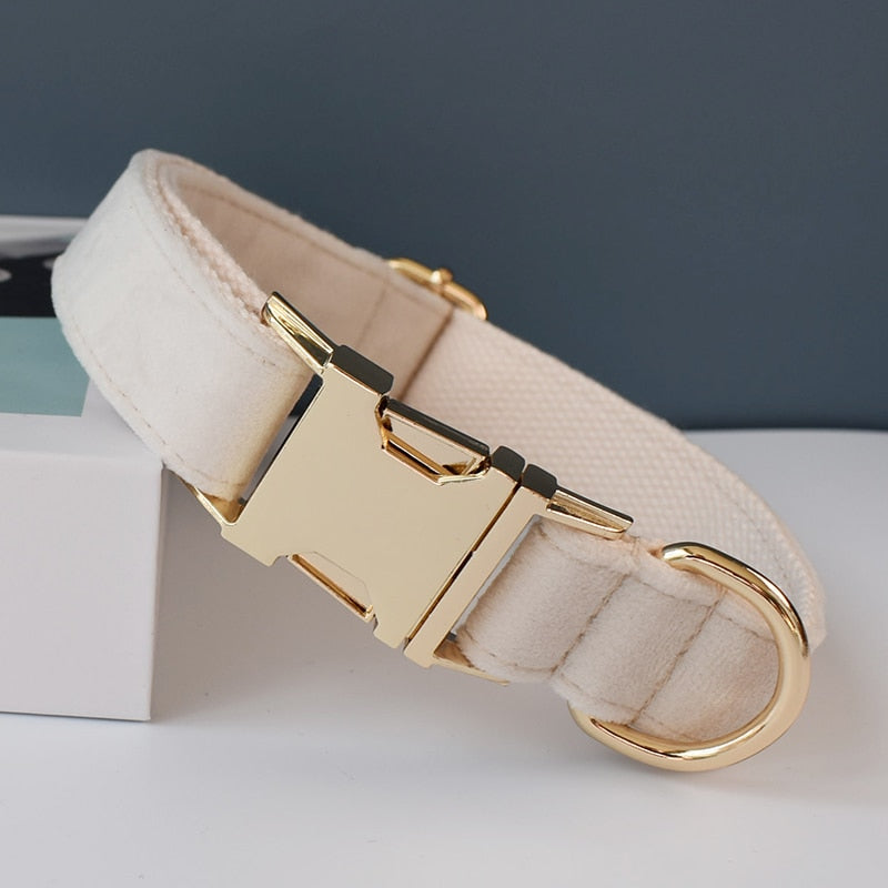 Dog's Elegant Bow Collar and Leash Set