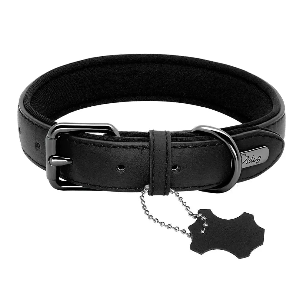 Padded Adjustable Genuine Leather Dog Collar - Superior Comfort & Style WLP Company