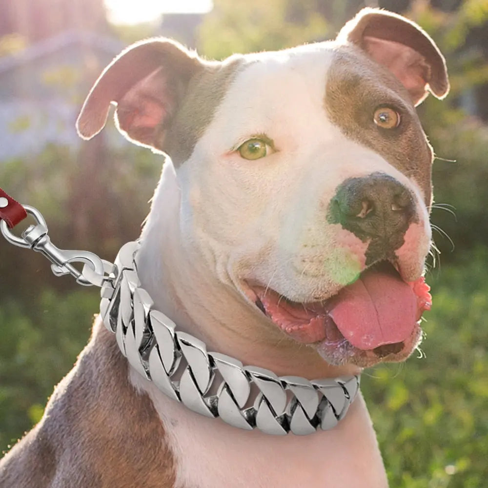 Strong Chain Styled Dog Collar WLP Company