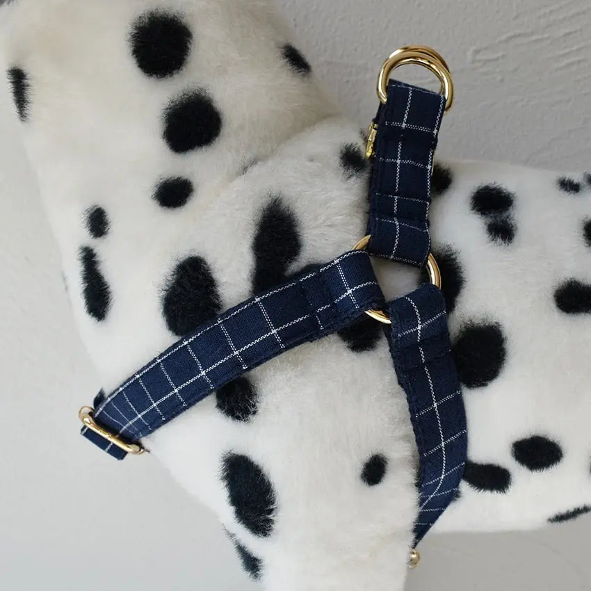 dog harness Plaid Harness and Leash Set WLP Company