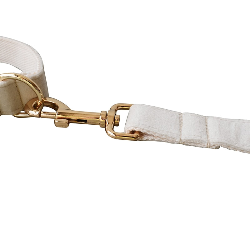 Dog's Elegant Bow Collar and Leash Set