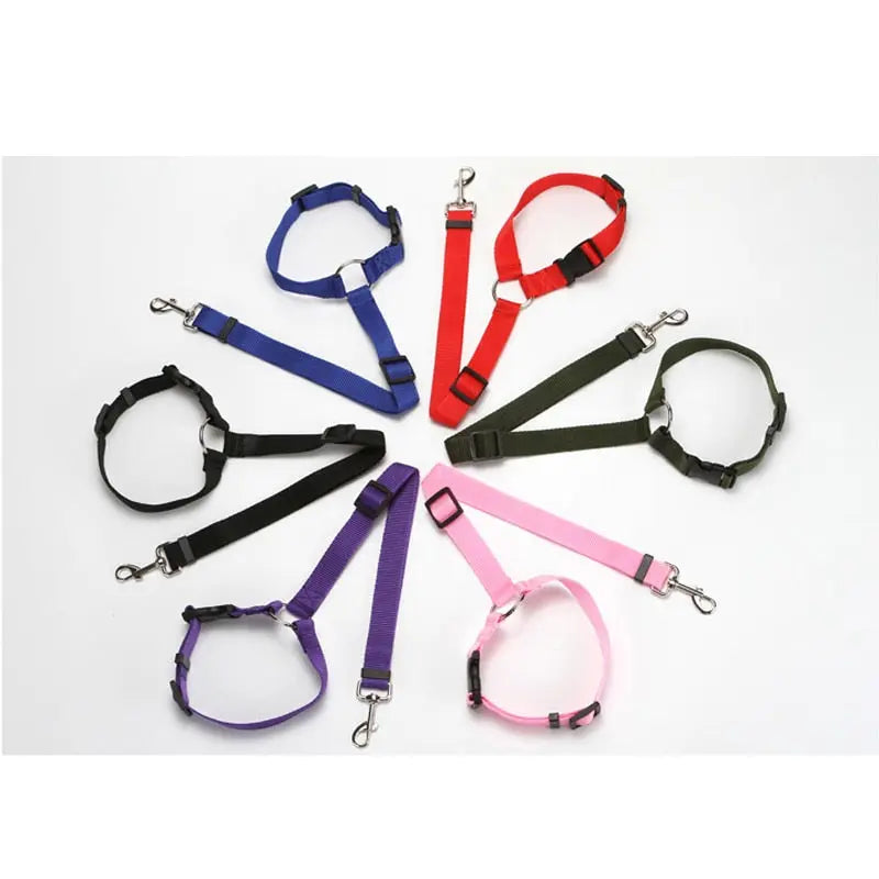 Pet Seat Belt Leash WLP Company
