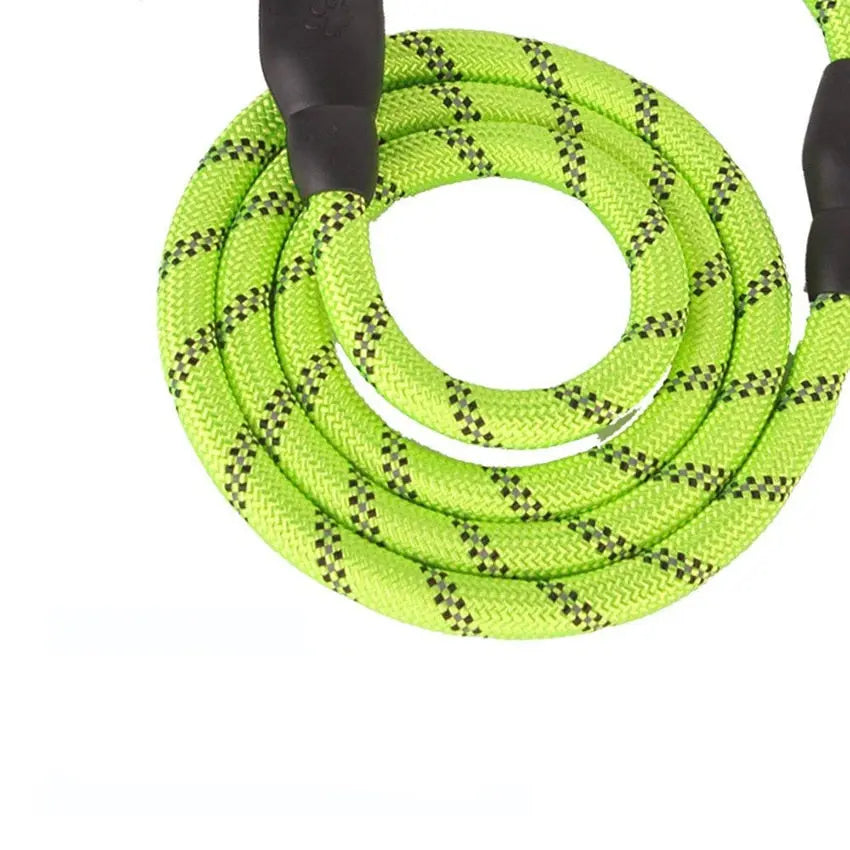 reflective dog leash Dogs Reflective Nylon Rope WLP Company