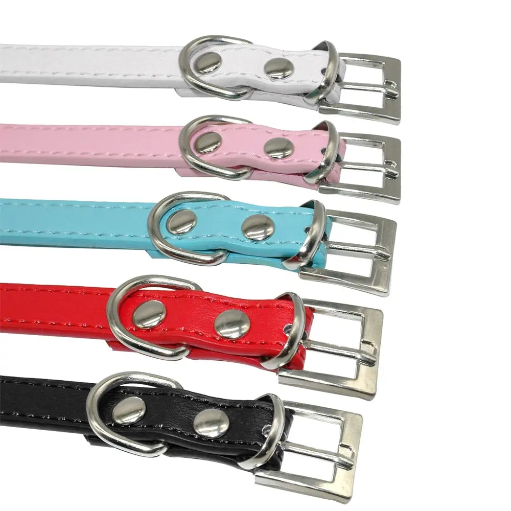 dog collar Bella Crystal Collar WLP Company