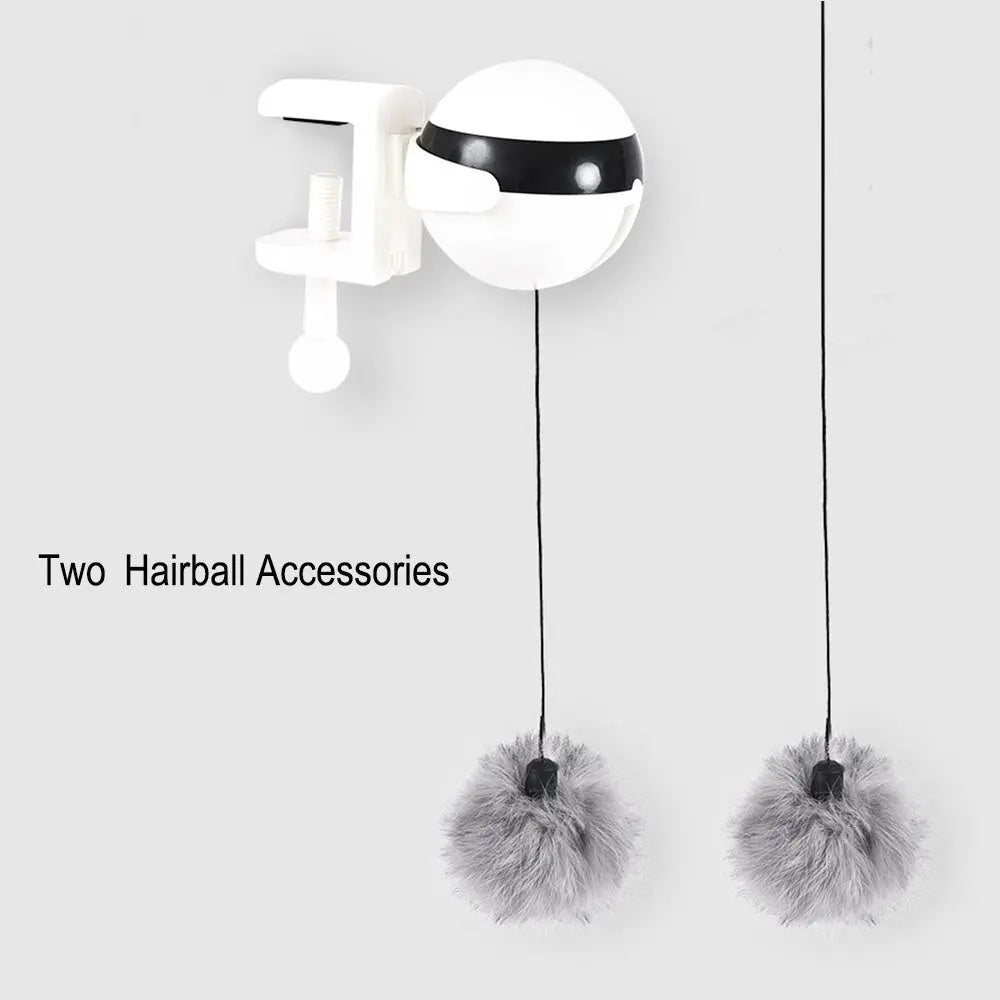 cat teaser toy Electric Teaser Toy WLP Company