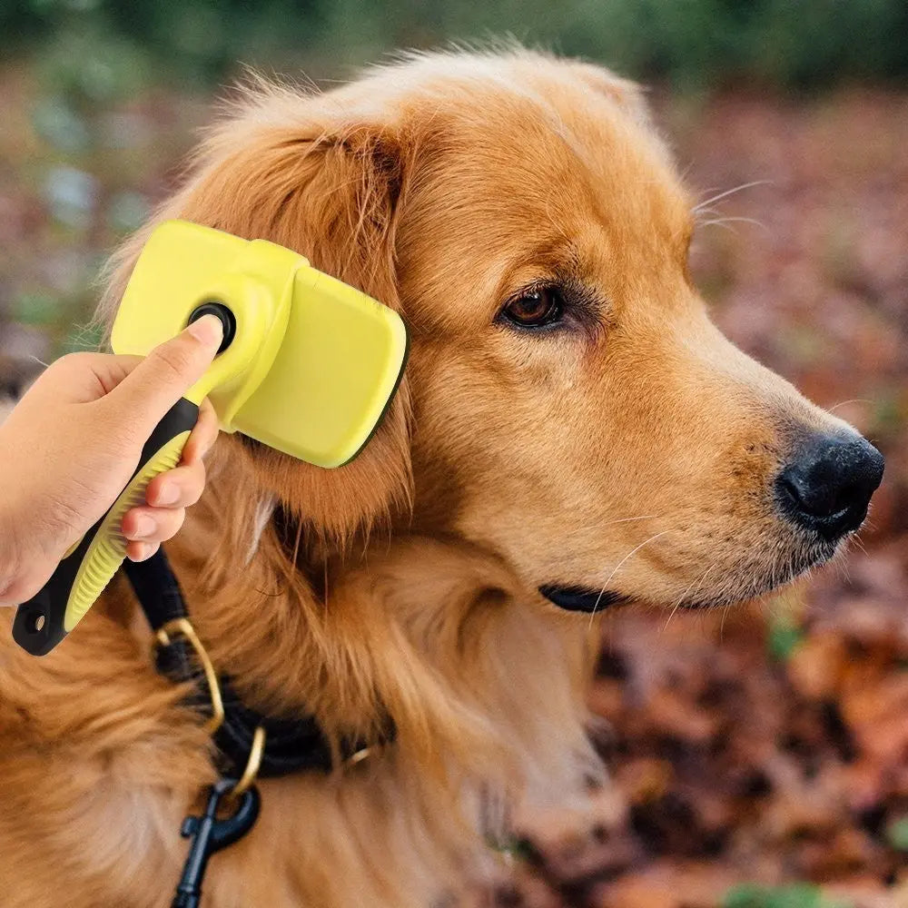 Luxury Pet Grooming Brush - Comfort & Style My Store