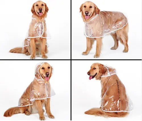 Transparent Autumn Dog Raincoat WLP Company