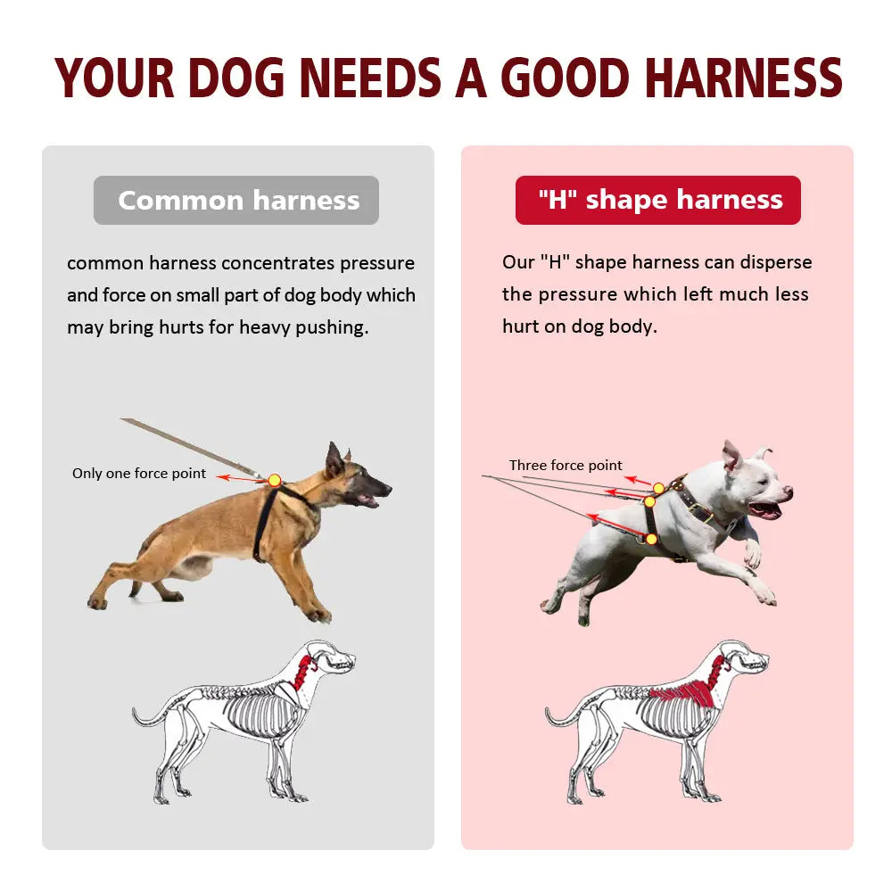 Adjustable Genuine Leather Dog's Harness - Premium Comfort & Durability WLP Company