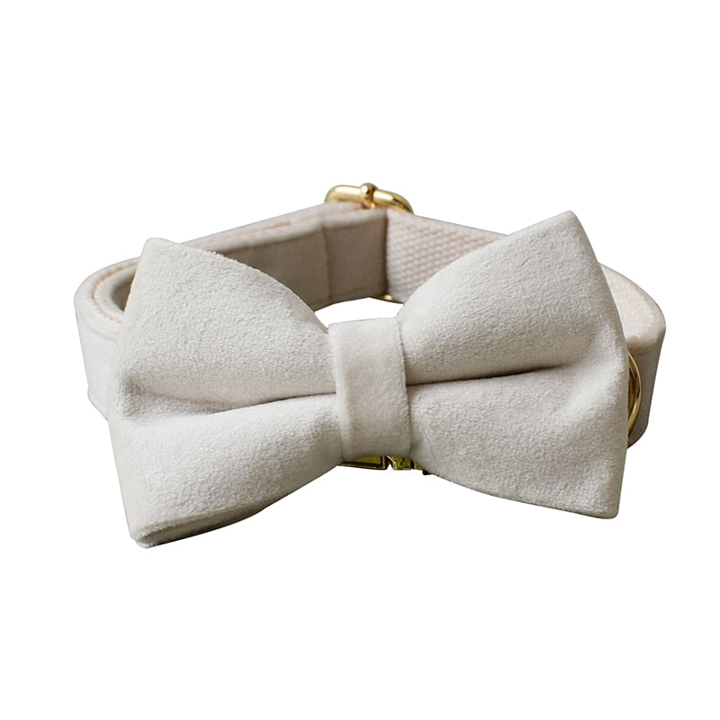 Dog's Elegant Bow Collar and Leash Set