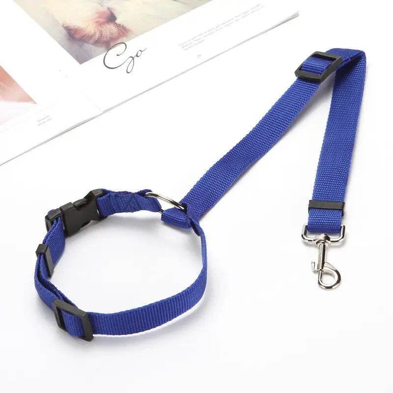 Pet Seat Belt Leash WLP Company