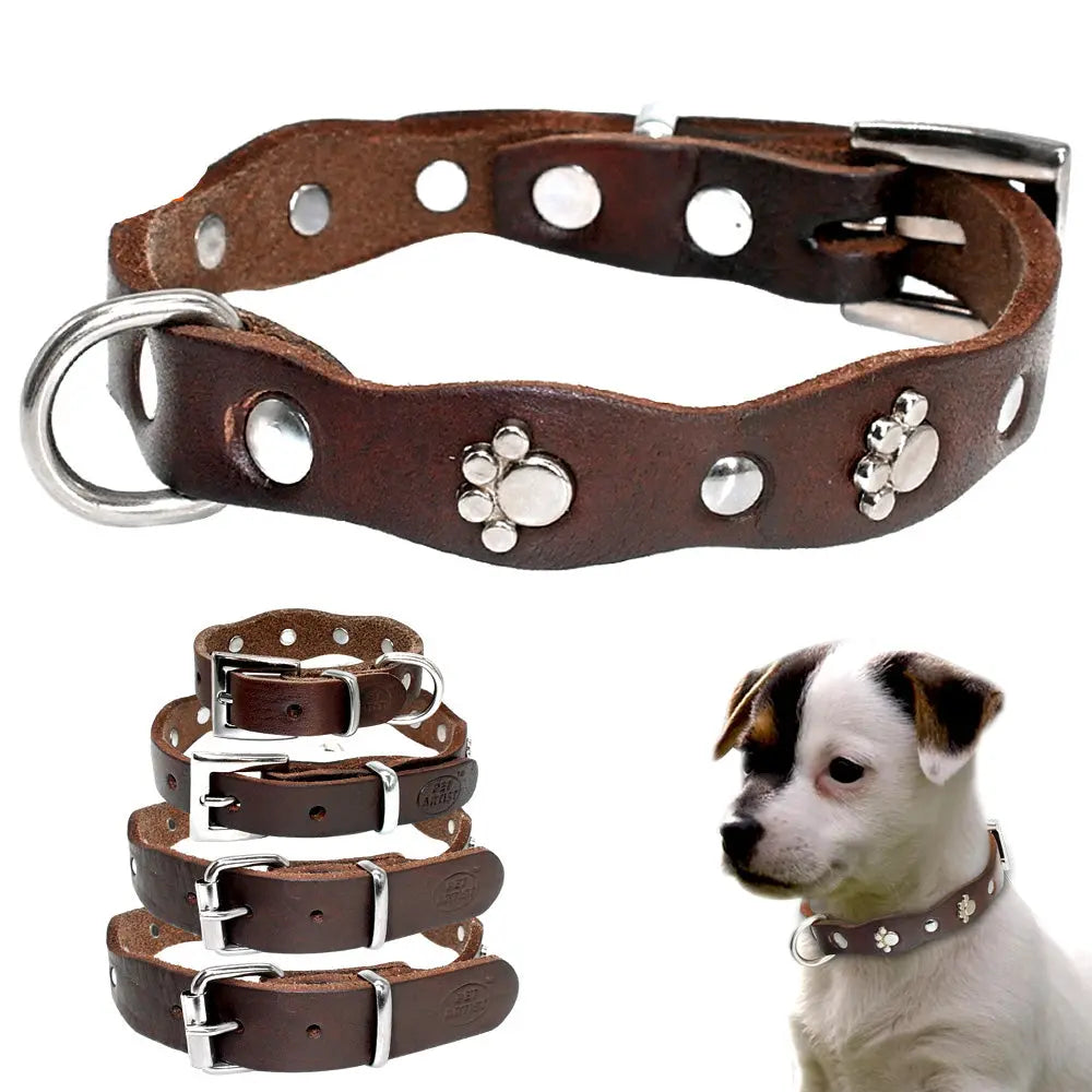 premium leather dog collar Genuine Leather Dog Collar - Timeless Elegance & Comfort WLP Company