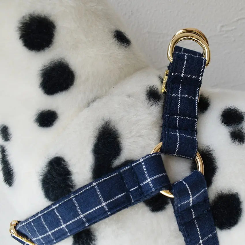 dog harness Plaid Harness and Leash Set WLP Company