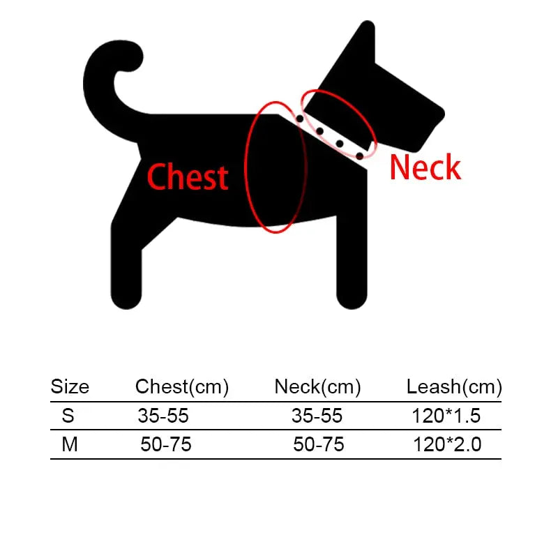 dog harness Boho Print Harness with Leash WLP Company