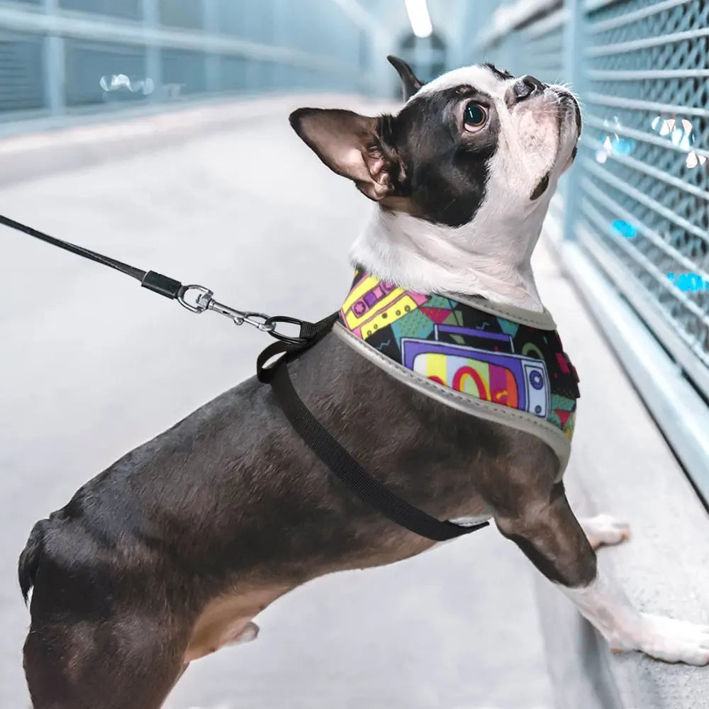 Breathable Printed Nylon Dog Harness Vest WLP Company