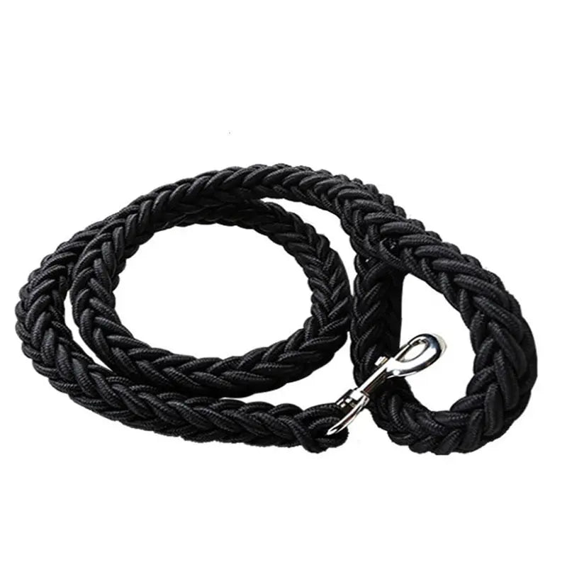 nylon dog leash Double Row Leash for Dogs WLP Company
