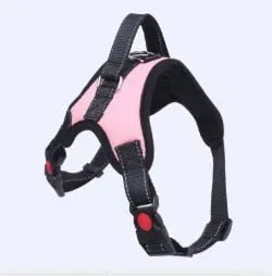 dog harness Dogs Soft Adjustable Harness WLP Company