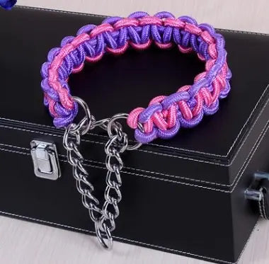 braided nylon dog collar Durable & Stylish Bright Braided Nylon Dog's Collar WLP Company