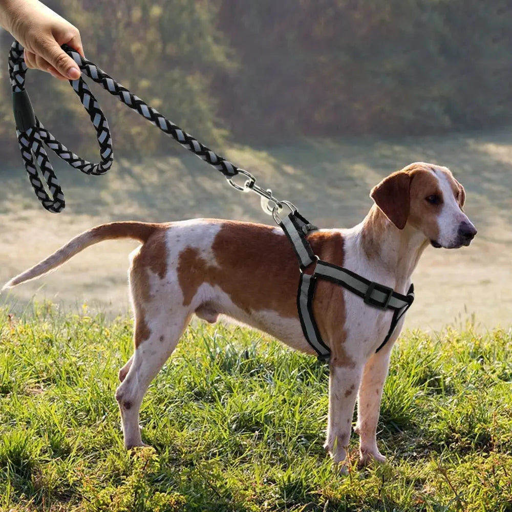 Step-in Reflective Nylon Dog Vest with Leash Set - Enhanced Safety & Visibility WLP Company
