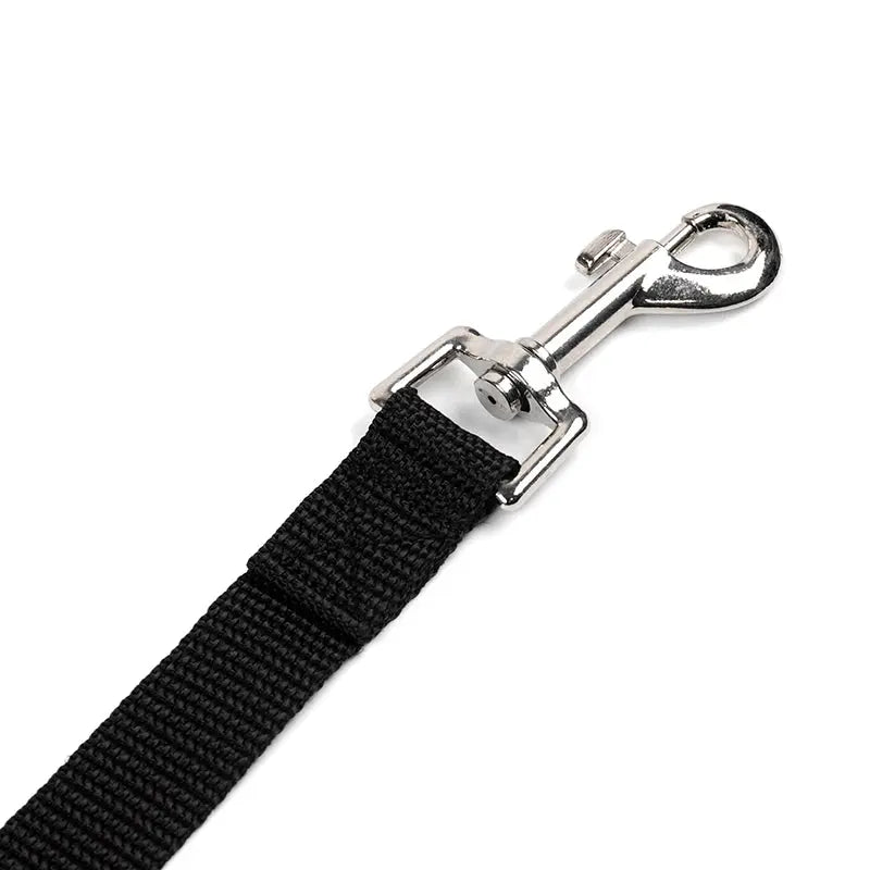 dog leashes Casual Nylon Leashes For Dogs WLP Company
