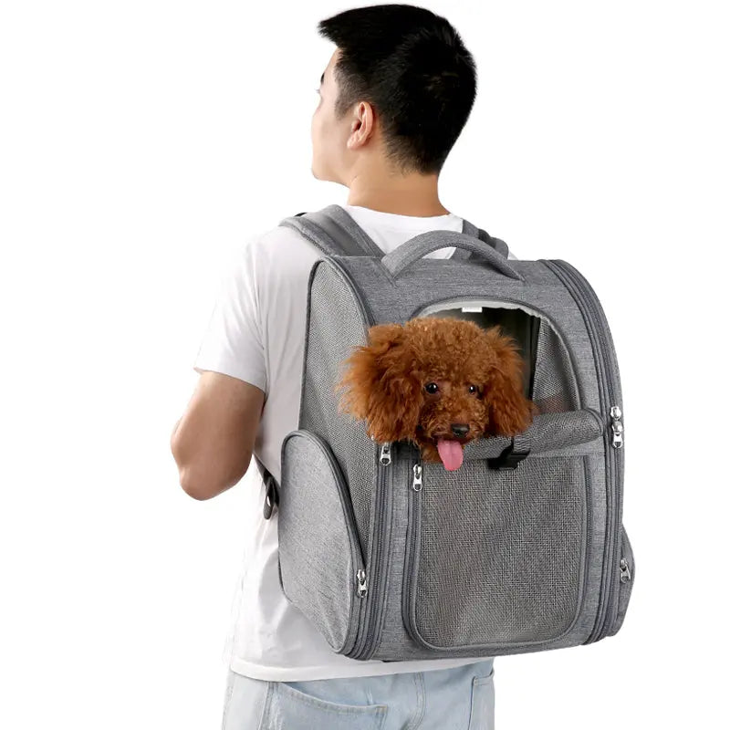 outdoor backpack for dogs Adventure Awaits: Outdoor Nylon Portable Backpack for Dogs WLP Company