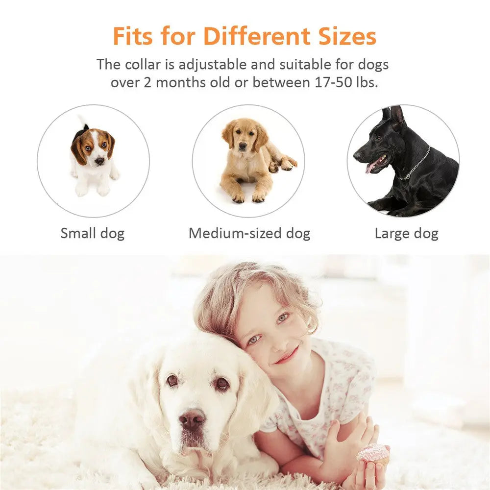 Automatic Pet Collar Paipaitek Automatic Pet Anti-Barking Training Collar WLP Company