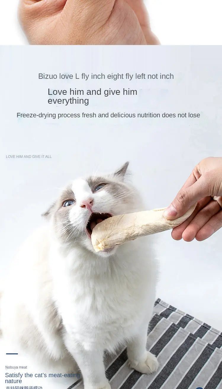 cat snacks Pet snacks cat freeze-dried chicken breast dog snacks chicken freeze-dried fattening gills WLP Company