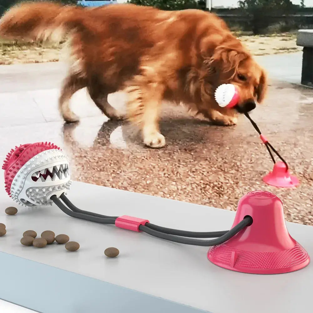 Dog Chew Toys Dog Chiew/Leaking Food Ball with Ropes WLP Company