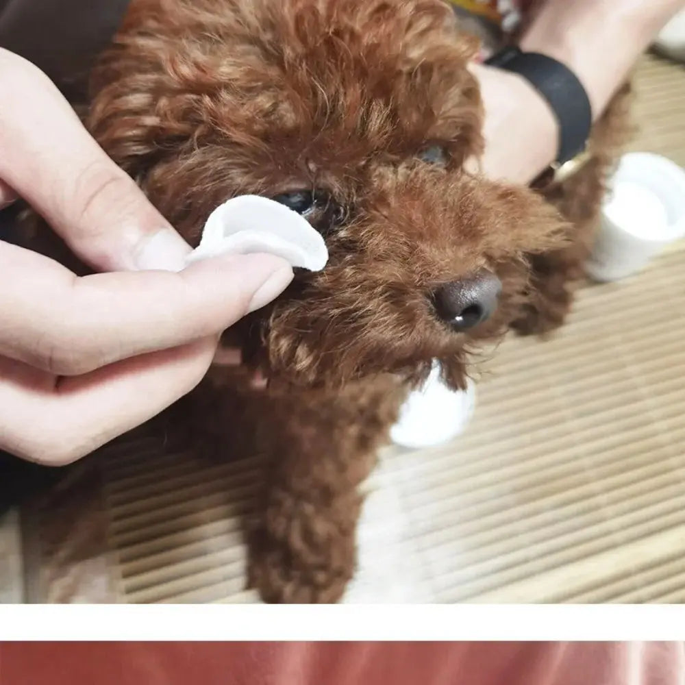 pet cleaning wipes 130 Pieces Pet Cleaning Tear Wipes, Non-Woven Eye Wipes for Dogs and Cats, 7x7cm Diameter, 112G Single Weight, Non-Woven Fabric WLP Company