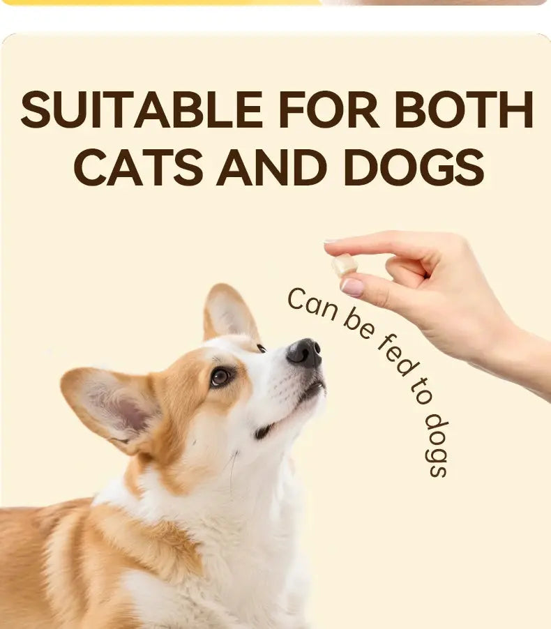 dog treats chanbuni Dog Snack Feeding Food Snacks Dogs Chicken Breast Freeze-Dried Duck Meat Treats Reward Teeth Grinding Raw Bones WLP Company