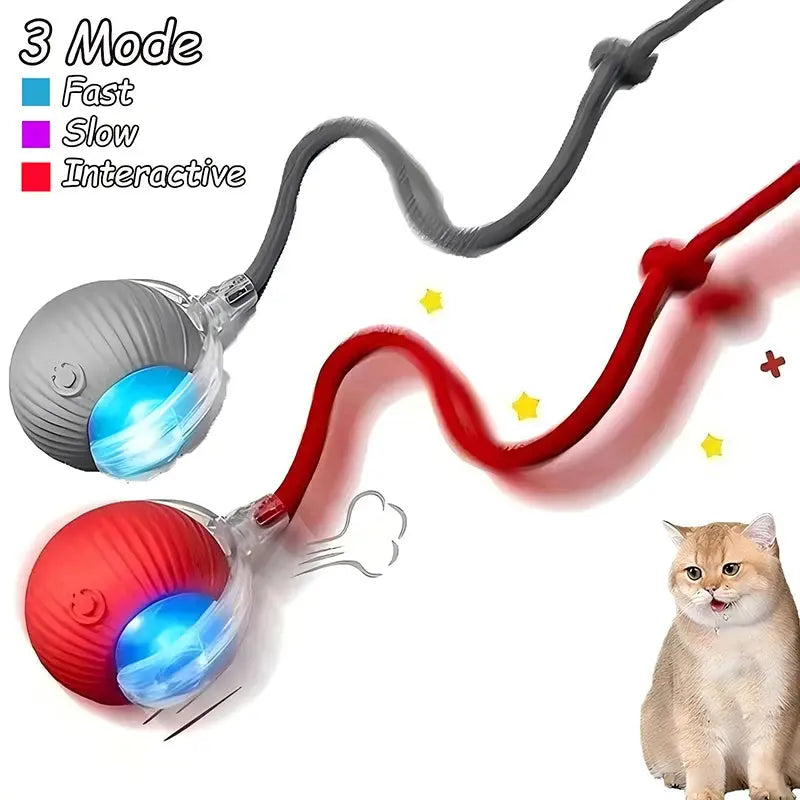Cat toys Cat Interactive Ball Toys Automatic Rolling Ball Faux Tail Rechargeable Smart Pet Electric Toy Dog Cat Training Imitate Mouse WLP Company