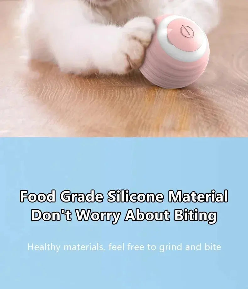 Cat Interactive Ball Smart Cat Toys for Pet Indoor WLP Company