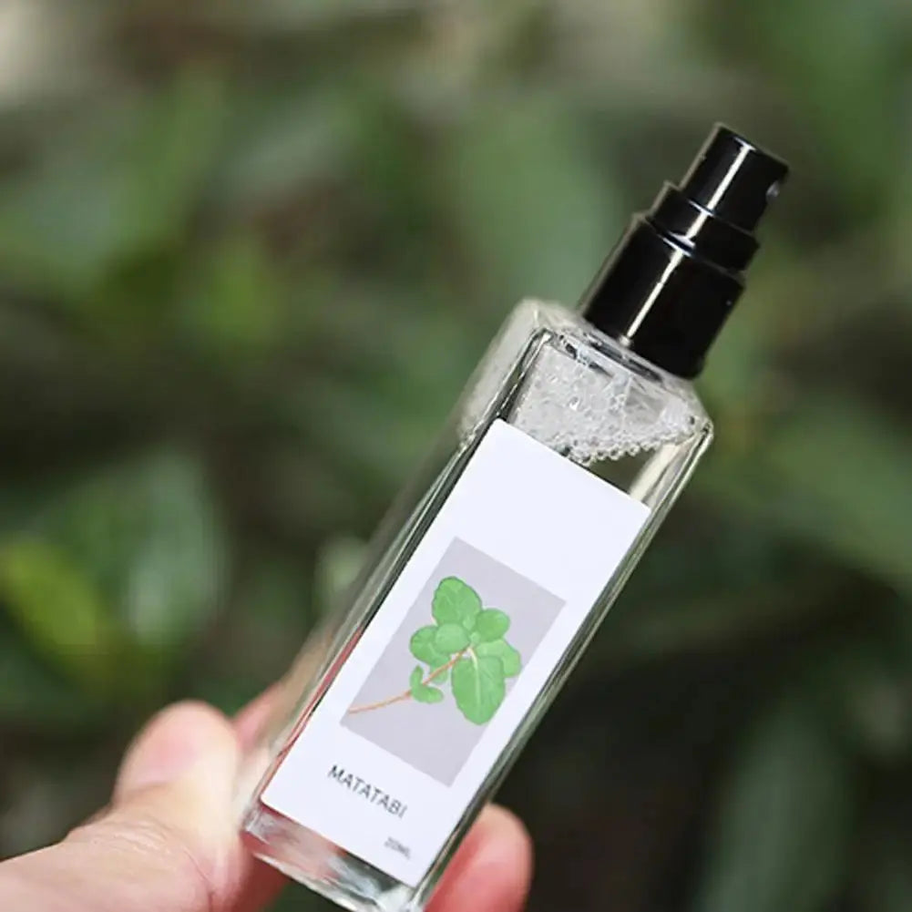 Celery Pets Catnip Spray Joy Herbal Cat Joy Insect Gall Fruit Spray Exciting Scratching Board Dropshipping WLP Company