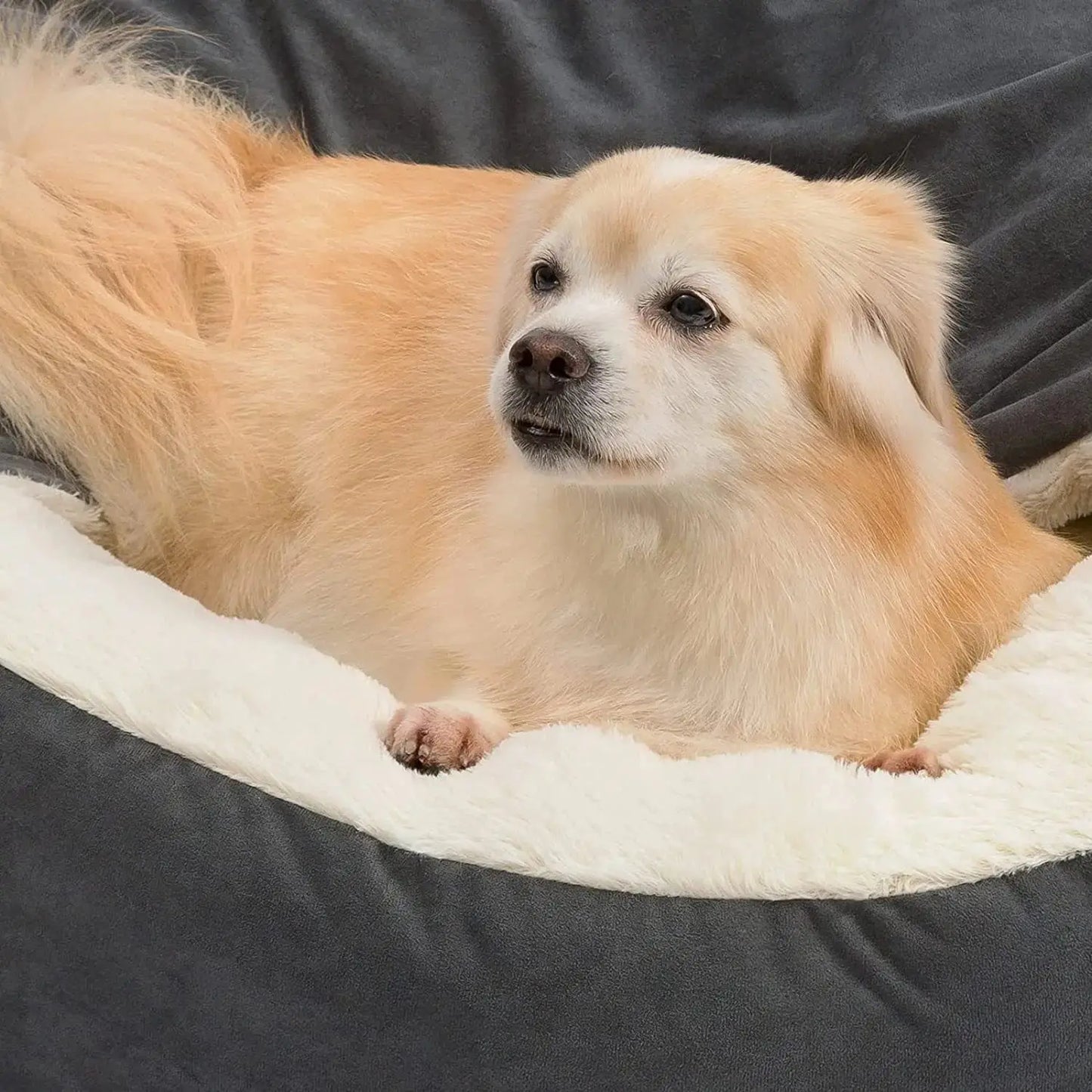 Semi-closed Dog Kennel Small and Medium Pet Sleeping Pad - Corduroy Winter Warm WLP Company