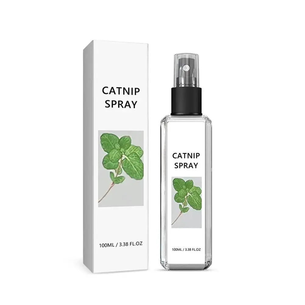Celery Pets Catnip Spray Joy Herbal Cat Joy Insect Gall Fruit Spray Exciting Scratching Board Dropshipping WLP Company