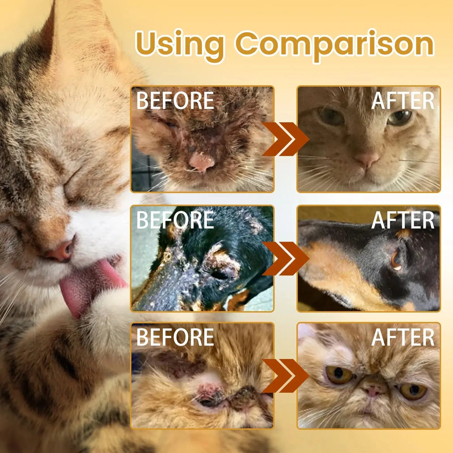 Cat Skin Care Spray Pet Flea Mite Eliminator Dog Itchy Skin Treatment Pet Wound Repair Cat Hair Regrowth Dog Hair Repair Serum WLP Company