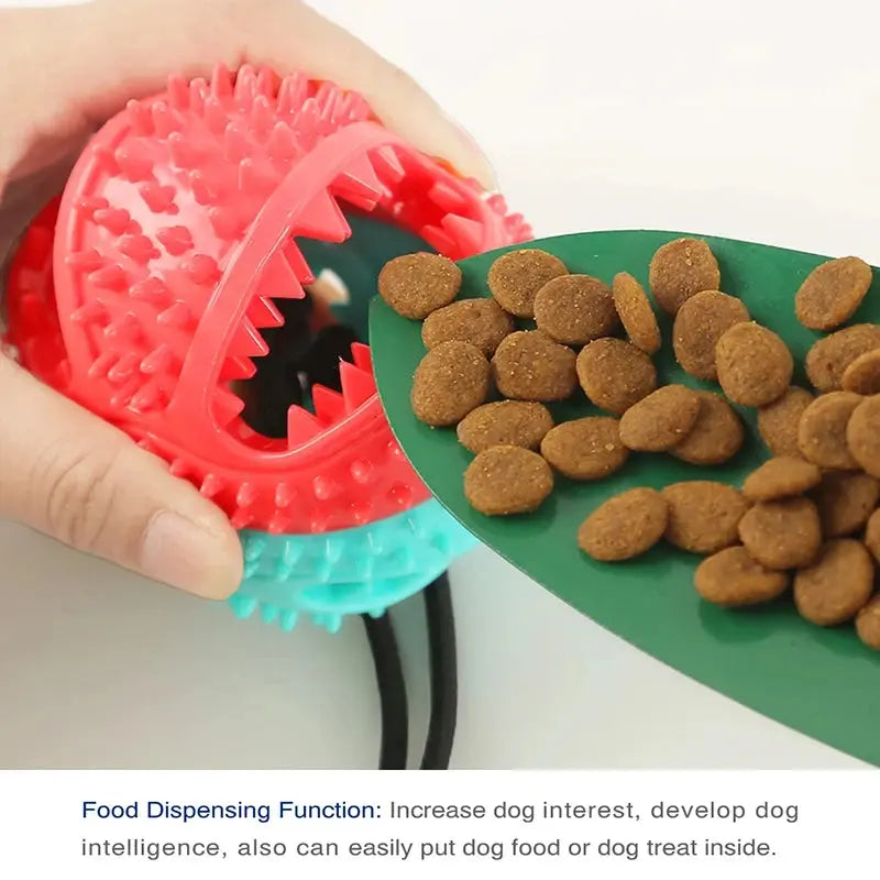 Dog Chew Toys Dog Chiew/Leaking Food Ball with Ropes WLP Company