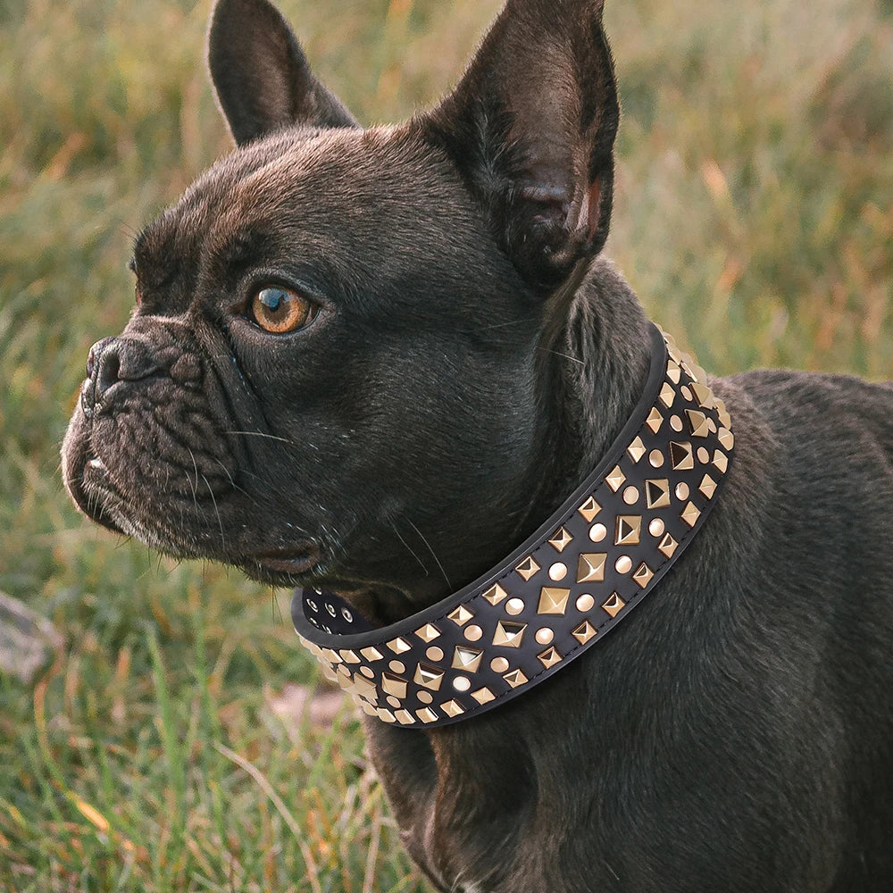 2" Wide Sharp Cool Spiked and Studded Leather Dog Collar