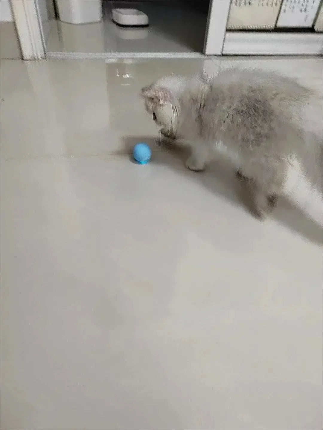 Cat Interactive Ball Smart Cat Toys for Pet Indoor WLP Company