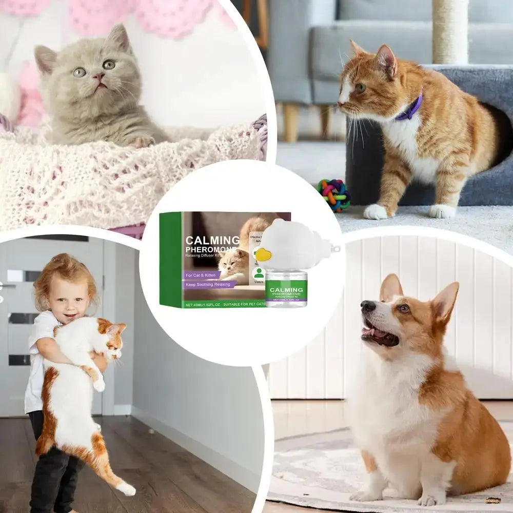 Cat Diffuser Kitten Relaxing Soothing Calming Kit Relief Intelligent Calming Pheromone Diffuser Calm Relaxing Pheromone WLP Company
