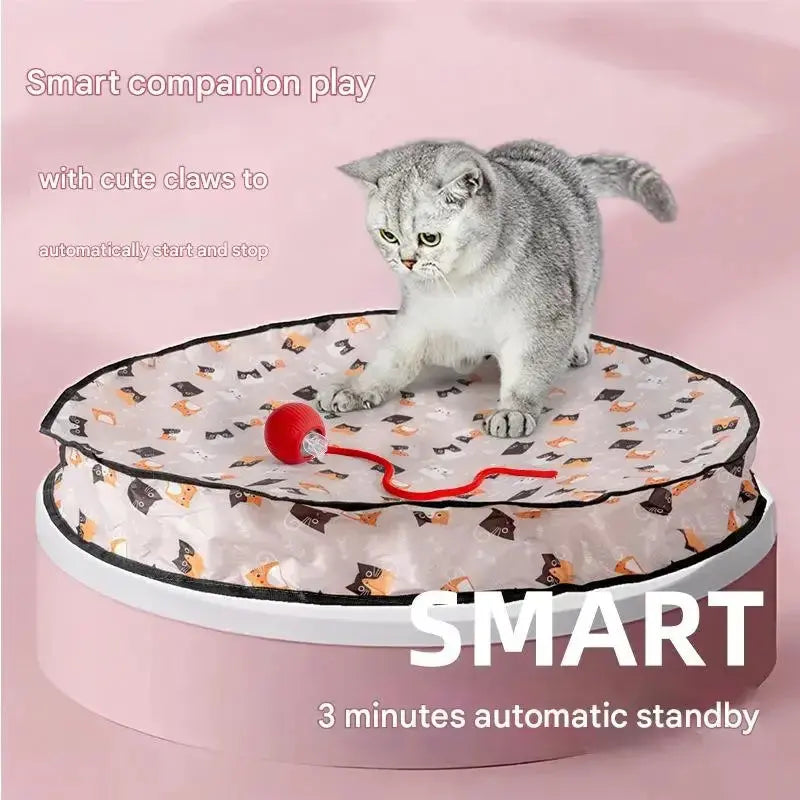 Smart Interactive Cat Toys Ball Fast Rolling in Pouch Hide and Seek Kitten Toy Motion Activated Interactive Cat Toy for Indoor WLP Company