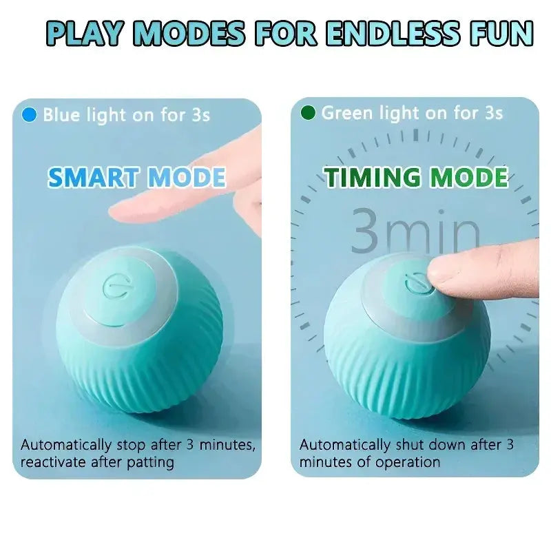 Cat Interactive Ball Smart Cat Toys for Pet Indoor WLP Company