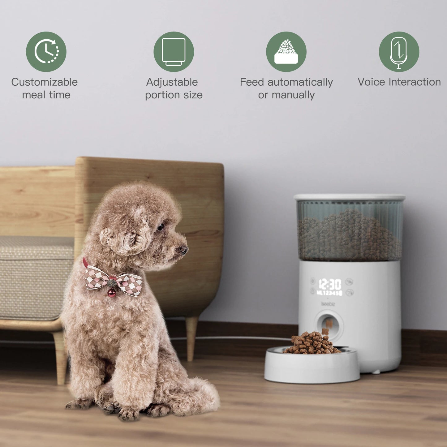 Iseebiz 3L Automatic Pet Feeder With Voice Record - Smart Feeding Solution